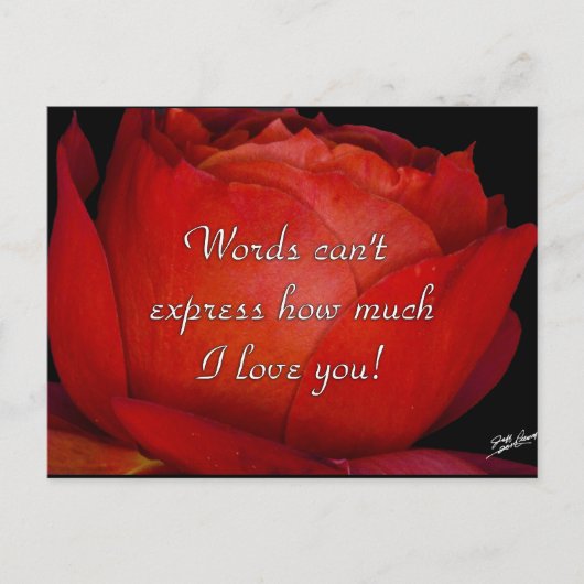 Carte Postale Les mots ne peuvent pas exprimer (Devant)