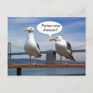 Carte Postale Les mouettes parlent français