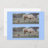 Carte Postale Les nouveaux marqueurs (Devant / Derrière)