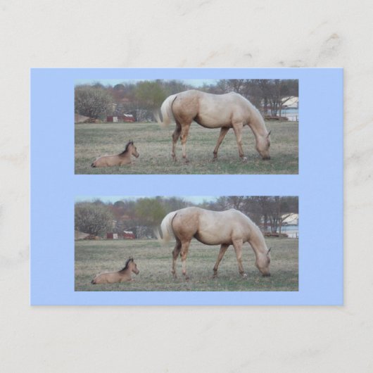 Carte Postale Les nouveaux marqueurs (Devant)