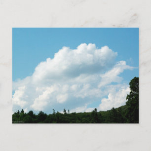 Carte Postale Les nuages rencontrent les arbres