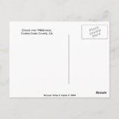 Carte Postale Les nuages sur la nature (Dos)