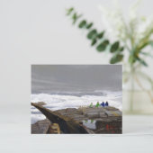Carte Postale Les Observateurs de Vagues (Debout devant)