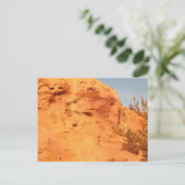 Carte Postale Les Ocres du Roussillon (Debout devant)