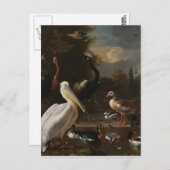 Carte Postale Les oiseaux (Devant / Derrière)