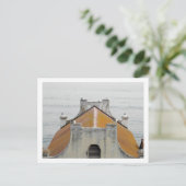 Carte Postale Les oiseaux d'Alcatraz (Debout devant)