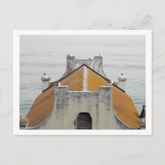 Carte Postale Les oiseaux d'Alcatraz