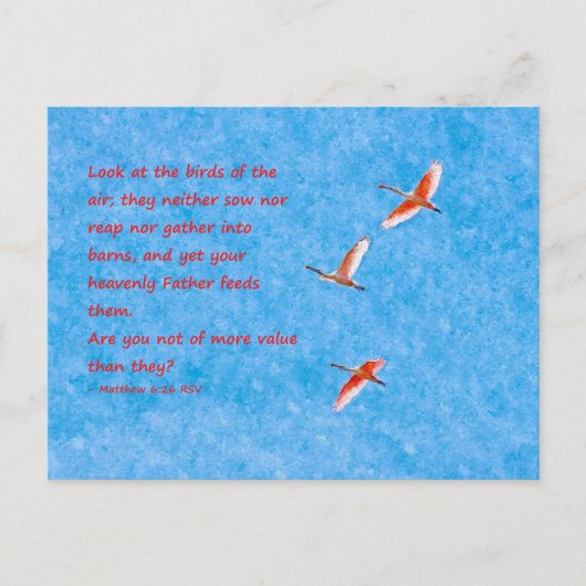 Carte Postale Les oiseaux de l'air - Matthieu 6:26 (Devant)