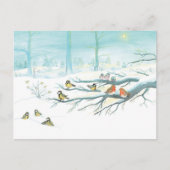 Carte Postale Les oiseaux forestiers en hiver (Devant)