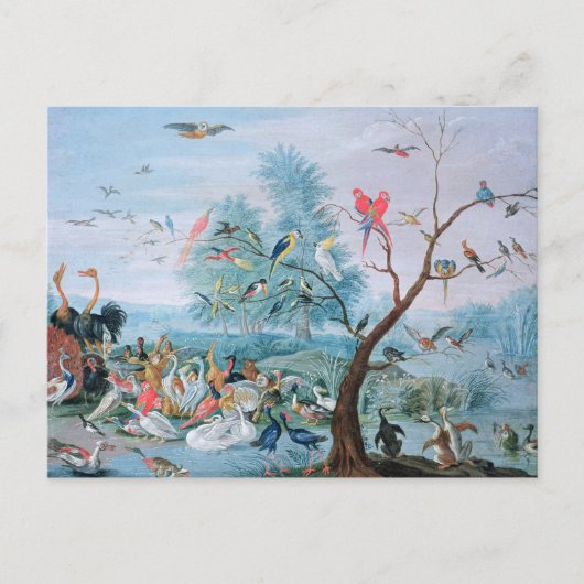 Carte Postale Les oiseaux tropicaux dans un paysage (Devant)