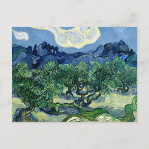 Carte Postale Les oliviers de Vincent van Gogh 
