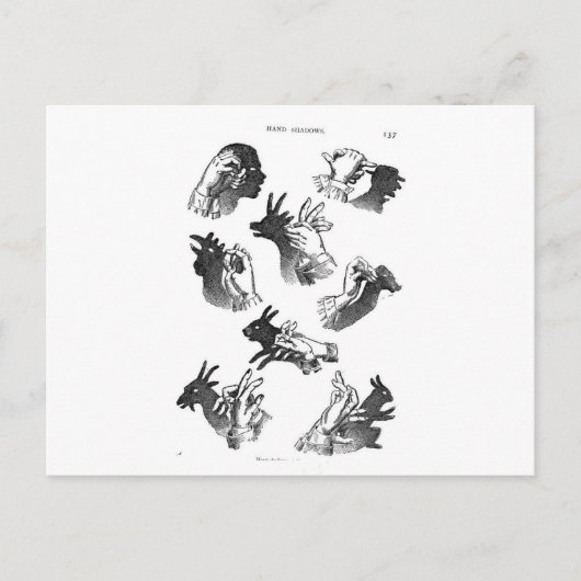 Carte Postale Les ombres chinoises sur le mur (Devant)