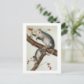 Carte Postale Les oppositions d'Audubon (Debout devant)