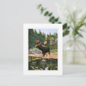 Carte Postale Les orignaux (Debout devant)