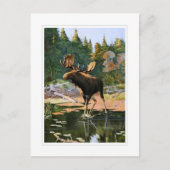 Carte Postale Les orignaux (Devant)