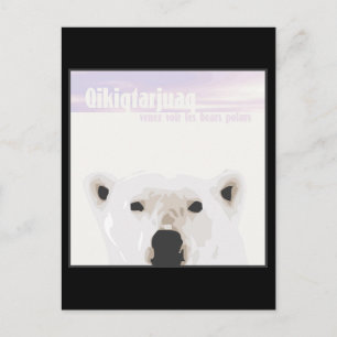 Carte Postale Les ours polaires
