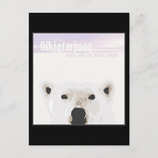 Carte Postale Les ours polaires (Devant)