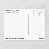 Carte Postale Les papillons du monde (Dos)