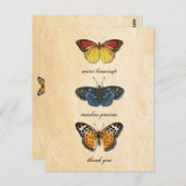 Carte postale Les Papillons Merci (Devant / Derrière)