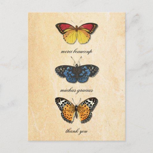 Carte postale Les Papillons Merci (Devant)