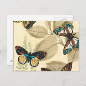 Carte Postale Les papillons qui dorment sur les Feuilles (Devant / Derrière)