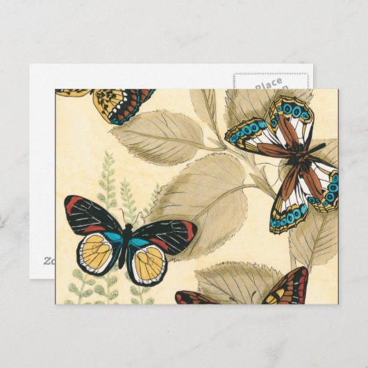 Carte Postale Les papillons qui dorment sur les Feuilles (Devant / Derrière)