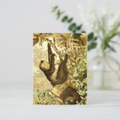 Carte Postale Les parcelles Vintages et le perroquet dans la jun (Debout devant)