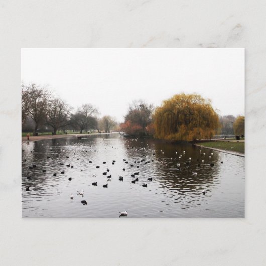 Carte Postale Les parcs de LONDRES (Devant)