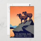 Carte Postale Les parcs nationaux (Devant / Derrière)