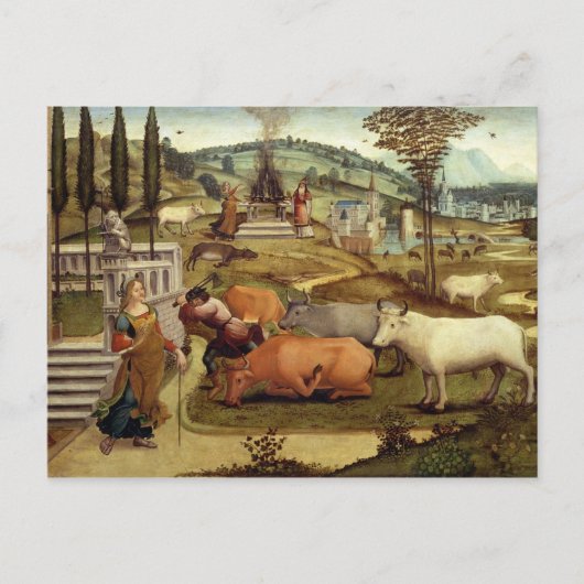 Carte Postale Les Passions de Pasiphae, épouse du roi Minos de C (Devant)