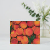 Carte Postale Les pêches (Debout devant)