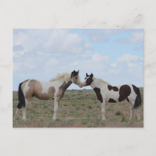 Carte Postale Les peintures