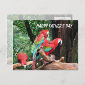 Carte Postale Les perroquets Fête des pères heureuse (Devant / Derrière)
