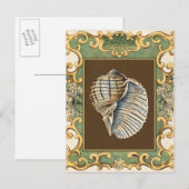 Carte Postale Les petites coquilles de sirène (Devant / Derrière)
