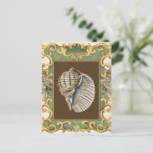 Carte Postale Les petites coquilles de sirène (Debout devant)