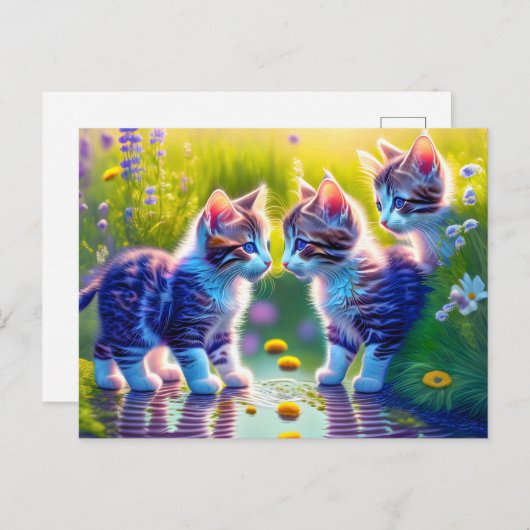 Carte Postale Les Petits Chats (Devant / Derrière)