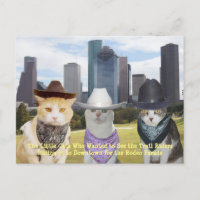 Les petits chats qui Recherché voir les cyclistes