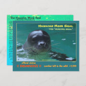 Carte Postale Les phoques moines hawaïens sont menacés d'extinct (Devant / Derrière)