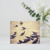 Carte Postale Les pigeons à Venise (Debout devant)