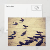 Carte Postale Les pigeons à Venise (Devant / Derrière)