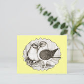 Carte Postale Les pigeons de Modène Gazzi (Debout devant)