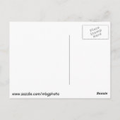 Carte Postale Les pingouins au zoo (Dos)