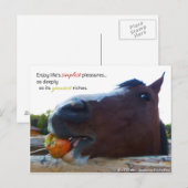 Carte Postale Les plaisirs les plus simples de la vie... (Devant / Derrière)