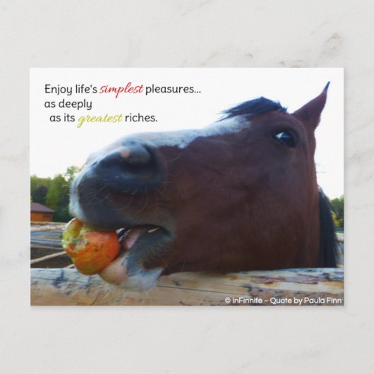 Carte Postale Les plaisirs les plus simples de la vie... (Devant)