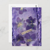 Carte Postale Les plus beaux violets violets collage (Devant / Derrière)