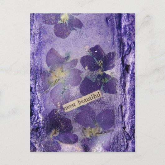 Carte Postale Les plus beaux violets violets collage (Devant)