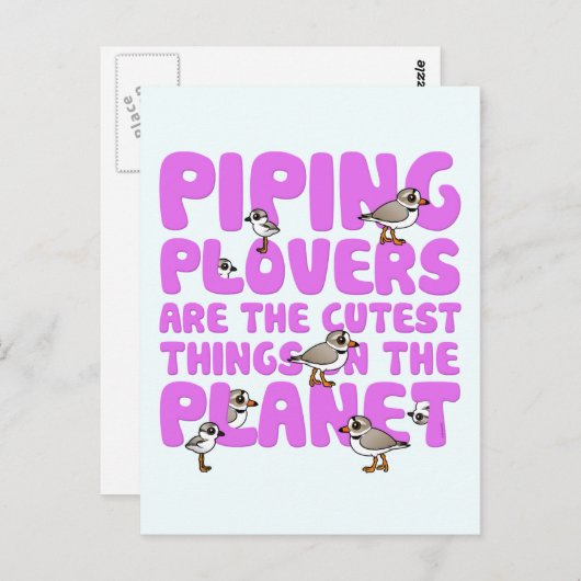 Carte Postale Les Pluvier siffleurs sont les choses les plus cou (Devant / Derrière)