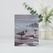 Carte Postale Les pluviers et les Turnstones de Weber (Debout devant)