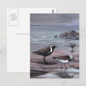 Carte Postale Les pluviers et les Turnstones de Weber (Devant / Derrière)