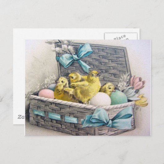 Carte Postale Les poulets en basket with eggs and flowers (Devant / Derrière)